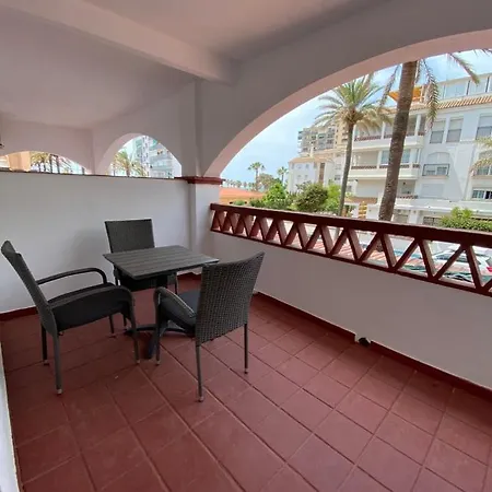 Palmeras Benalmadena
